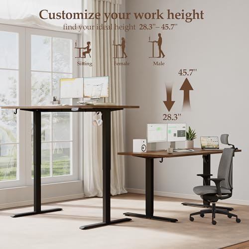 Klicelor 48 x 28 Electric Standing Desk, Sit Stand Up Home Office Desk, Height Adjustable Deep Cumputer Table with Memory Presets and Hooks, Two Pieces, Rustic Brown