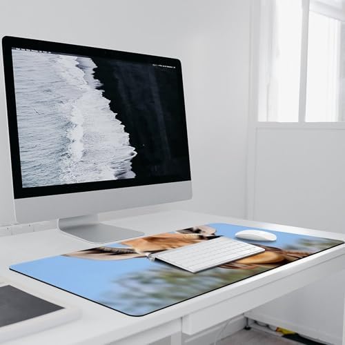 Animal Giraffe Stretching Head Long Neck Closeup Cute Large Mouse Pad Gaming Mousepad Desk Pad for Keyboard and Mouse Mat Non-Slip Base 40x90cm, Style