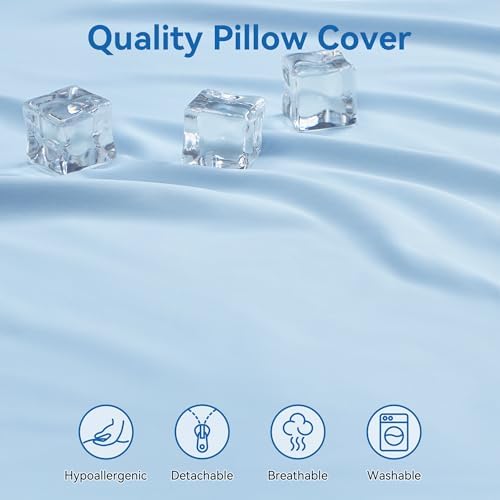 AM AEROMAX Travel Contour Memory Foam Pillow for Neck Pain Relief, Blue