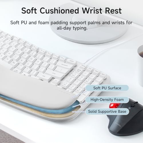 SANWA Wired Ergonomic Keyboard, Curved Wave Keyboard with Cushioned Wrist Rest, Compact Full-Size Layout, USB-A & C Port, 13 Shortcuts Keys, Natural Typing, Compatible with Win/Mac, Laptop, PC, White