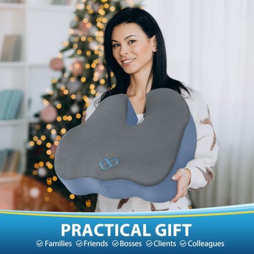 BlissTrends Thick Seat Cushion for Office Chair & Car Seat, XL, Grey&Blue