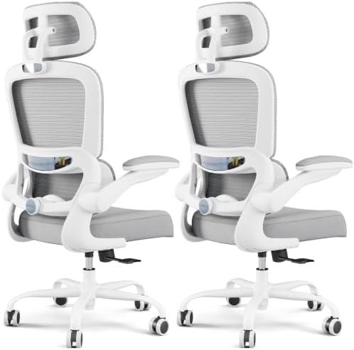 TRALT Office Chair Ergonomic Desk Chair - Gaming Chair with Lumbar Support