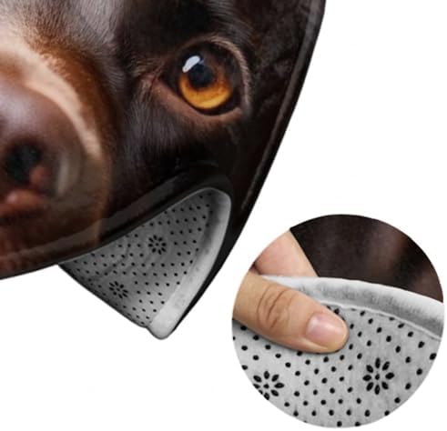 Large Home Decor Mat, Soft Round Yoga Carpet, Non Slip Machine Washable Home Office Circle Rug Chocolate Lab Brown Labrador Dog Print