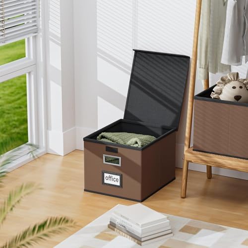 File Organizer Box with Lids, Collapsible File Folder Organizer
