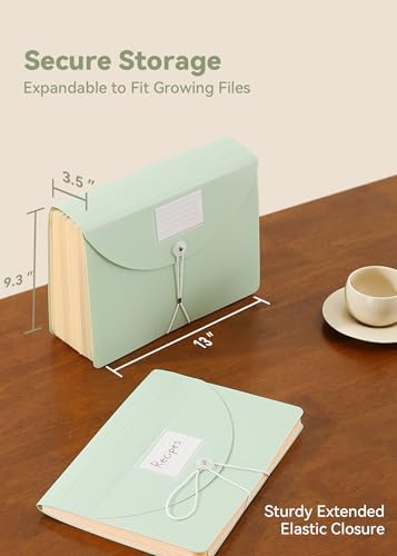 SortRax Monthly 12-Pocket Accordion File Organizer, Letter/A4 Size, Green