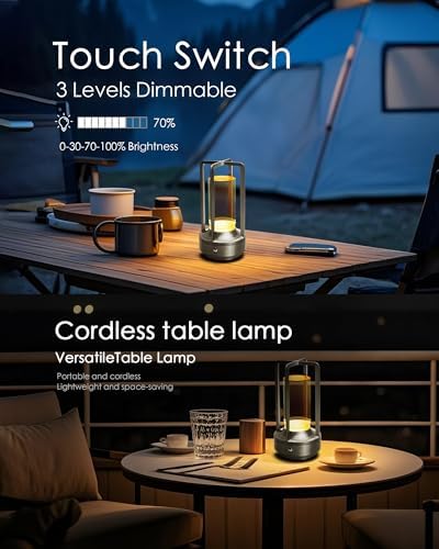 Set of 2 Cordless Table Lamps Rechargeable Desk Lamps Silver