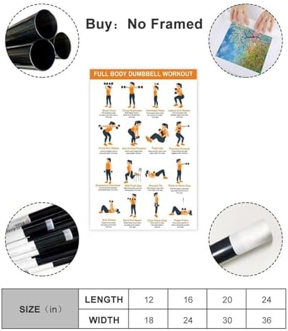 Full Body Dumbbell Workout Chart Home Exercise Routine for Beginners Illustrated Strength Training Canvas Poster Bedroom Decor Room Decor Unframe 12x18inch