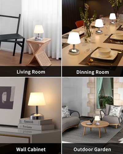 KDG Silver Cordless Small Table Lamp, Portable LED Dimmable Desk Lamp