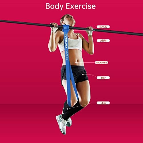WIKDAY Resistance Bands for Working Out, Exercise Bands, Workout Bands, Pull Up Assistance Bands for Body Stretching Training Physical Therapy Muscle Training for Men & Women