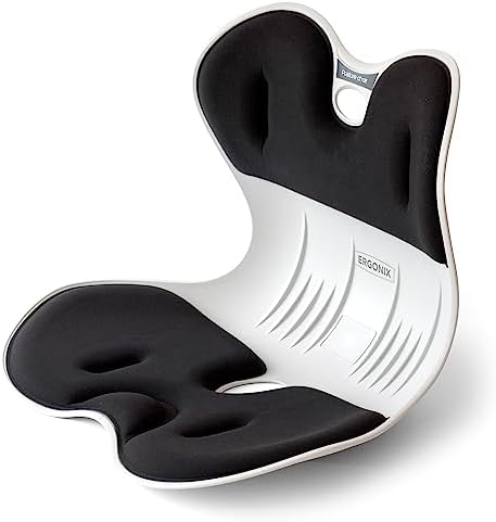 Lumbar Support Posture Corrector Chair for Men – Large Portable Ergonomic Back Support Chair for Posture Correction and Lower Back Pain Relief