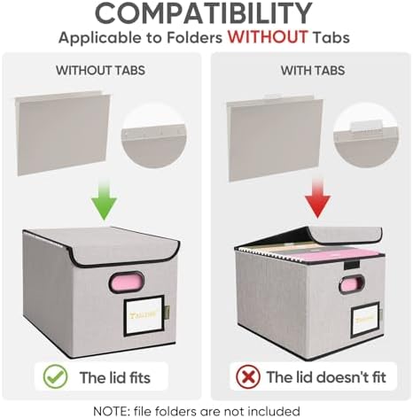 BALEINE File Organizer Box with Lid, Collapsible Hanging File Storage Box