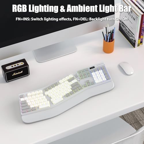 Ergonomic Mechanical Keyboard with Smart Screen & Volume Roller