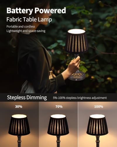 KDG Mottled Silver Cordless Table Lamps Set of 2, Black Fabric Shade Light