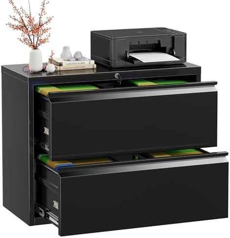 INTERGREAT Lateral File Cabinet 2 Drawer, Black Metal File Cabinets for Home Office, Locking File Cabinet for Letter/Legal/F4/A4 Size, Easy Assembly