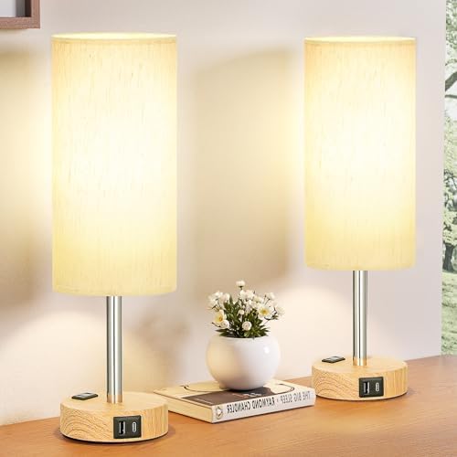 Fenmzee Bedside Table Lamp Set of 2 - Dimmable Touch, USB A+C, AC Outlet