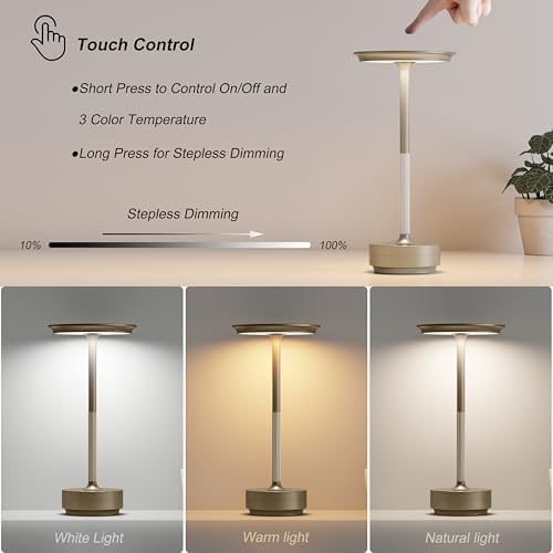 TBBGA 1 Pack Rechargeable Table Lamps Cordless, 5000mAh Outdoor Table Light