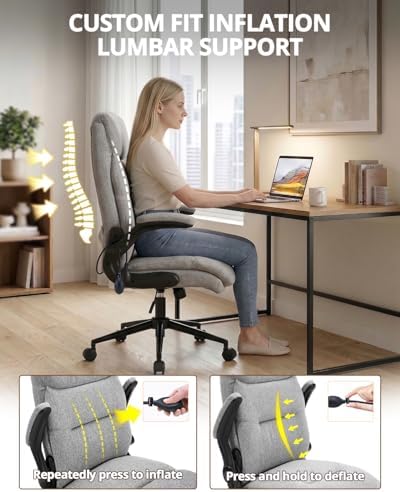 Karl home Ergonomic Office Chair Inflatable Lumbar High Back, Grey