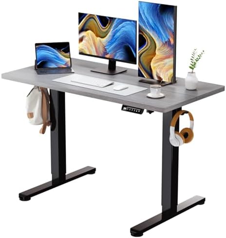 Electric Standing Desk, 48×24 Inch Home Office Desk, Grey