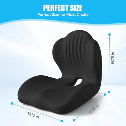 Ergonomic Seat Cushion for Office Chairs Lumbar Support Pillow, Black