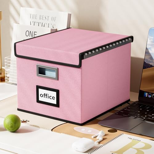 File Organizer Box with Lids, Collapsible File Folder Organizer