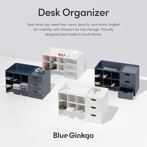 Blue Ginkgo Stackable Desk & Pen Organizer, Blue, Made in Korea