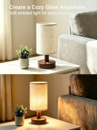 CHLORANTHUS 2 Pack Rechargeable Cordless Table Lamp – 4000mAh Battery Bedside Lamp, Mini Touch Control Dimmable LED Light with 3 Color Modes