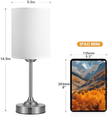 Touch Control Cordlss Table Lamp, USB-C Rechargeable Lamp with Stepless Dimming, 4000mAh Battery Operated Bedside Lamp for Bedroom, Living Room, Night Light & Emergency Lighting, Silver, 1 Pack