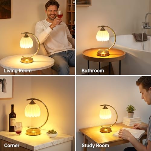 Shenmoyl Set of 2 Tulip Table Lamp, 5200mAh Cordless Touch Control Table Lamps with 3 Color Temps & Stepless Dimming, Rechargeable Battery Table Lamp for Living Room, Bedroom, Shelf (White Tulip)