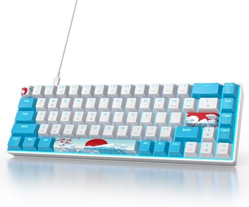 Owpkeenthy Wired 65% Mechanical Gaming Keyboard with Blue Switch 60% Ultra Compact RGB Gaming Keyboard Backlit Keys N-Key Rollover for PC PS5 Xbox(Blue/ 68 Blue Switch)