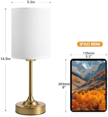 Rechargeable Table Lamp, Battery Operated, Touch Control, Brass, 1 Pack