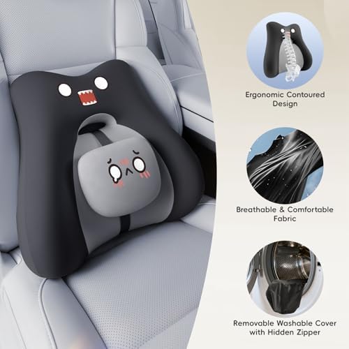 BEBAS Ergonomic Memoery Foam Lumbar Support Pillow for Car & Office, Black