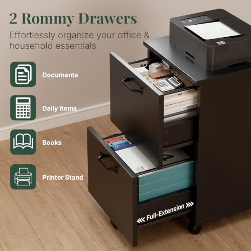 2 Drawer Rolling File Cabinet with Wood Printer Stand