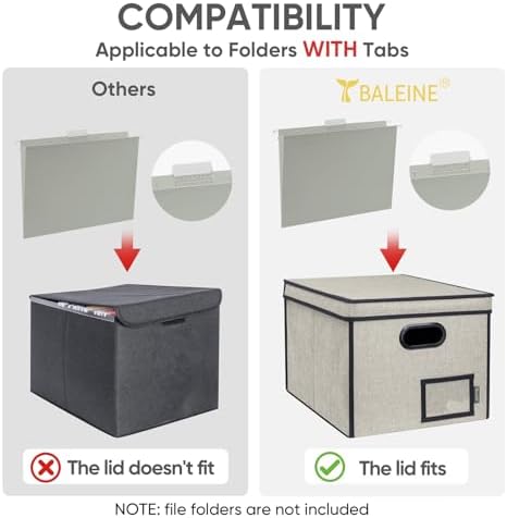 BALEINE File Organizer Box with Lid, Collapsible Hanging File Storage Box