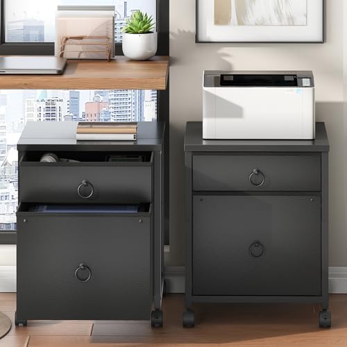 HOOBRO File Cabinet, 2-Drawer Vertical Mobile Office Cabinet, Rolling Printer Stand, for A4/Letter Size Files, Nonwovens Drawer, for Home Office, Black BB21WJ01
