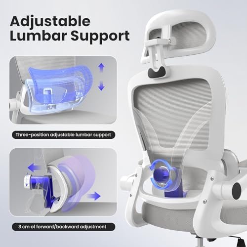 Bigzzia Ergonomic Office Chair with Lumbar Support - High Back Desk Chair