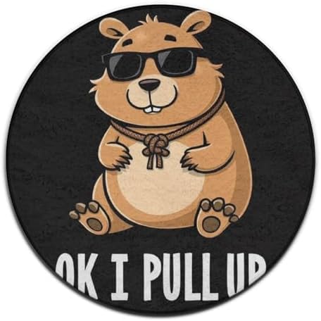 Circular Rugs Large Modern Round Area Rug Fashion Decor Mat for Home Office OK I Pull Up Capybara