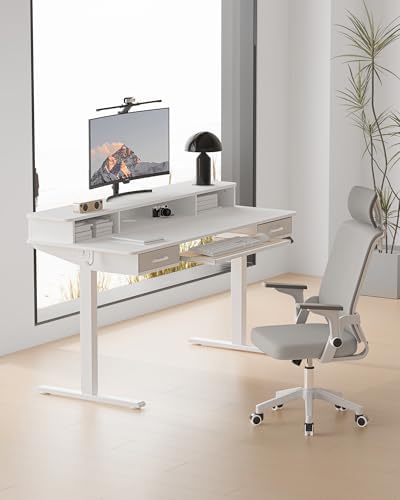 Electric Standing Desk with Keyboard Tray, 63x24 Inches Height Adjustable Stand up Desk with 2 Drawers, Ergonomic Sit to Stand Table with Storage Monitor Stand, White