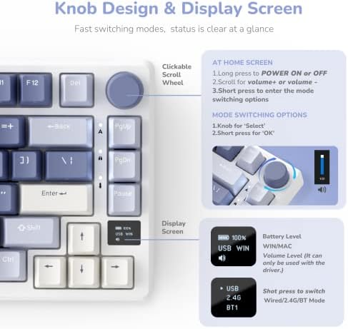 RK ROYAL KLUDGE M75 Mechanical Keyboard with OLED Smart Display and Volume Knob, 2.4G/USB-C/BT Gasket Mounted 75% Layout Wireless Gaming Keyboard with 81 Keys, RGB Backlit Hot-Swappable Brown Switch