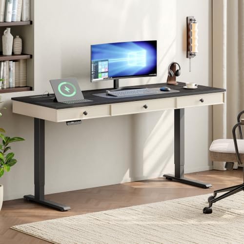 ONBRILL 55" Electric Standing Desk with 3 Drawers, Home Office Desk, Black