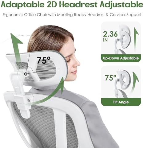 Office Chair Ergonomic Desk Chair with 3D Lumbar Support & Headrest