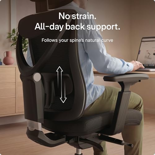 Desktronic Ergonomic Office Chair — Adjustable Desk Chair with Lumbar Support, Wide Seat, Headrest, 9 Adjustable Settings, Breathable Mesh Back, Comfortable Home Office Chair for Long Hours