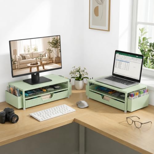 ECOLOVI Desk Organizer and Accessories, 2-Tier Computer Monitor Stand Rise with Storage Drawer & 2 Pen Holders, Laptop & Printer Stand for Desktop, Workspace Organizers for Office Supplies (Sage Green)