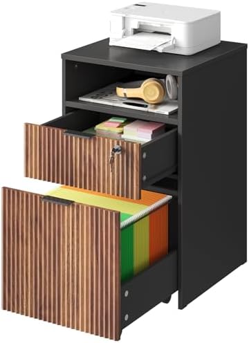 CHOEZON 2 Drawers File Cabinet with Open Storage, Black and Dark Walnut