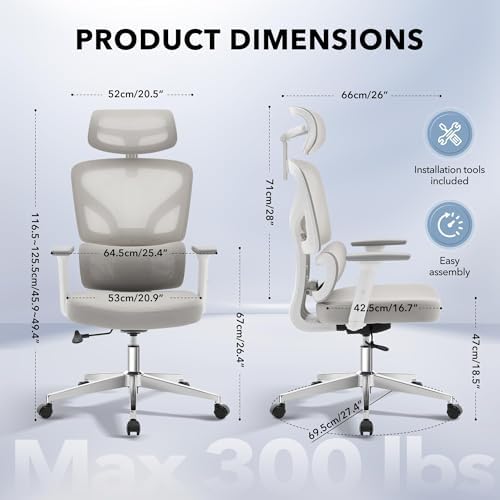 Ergonomic Office Chair with Adjustable Lumbar Support,Grey