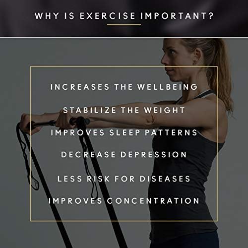 Mini Gym, Full Body Exercise Kit with Resistance Band to Use at Home, to Travel, Or at The Office