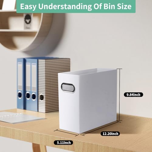 Collapsible File Organizer Box with Handle,12.20x5.11x9.84Inches, Filing Organizer for Home or Office, Small Portable File Box(2 Packs, White)
