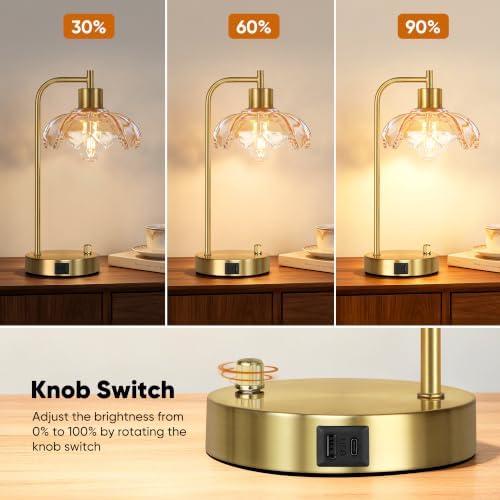 Glass Table Lamps Set of 2, Champagne Dimmable Bedside Lamps for Bedroom