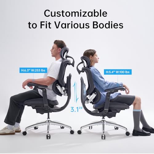 SIHOO Doro C300 Pro V2 Ergonomic Office Chair, Full-Body Adaptive Support