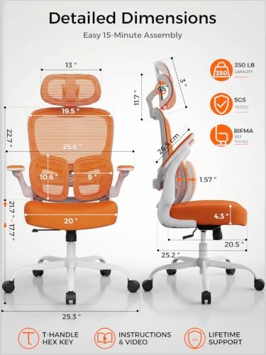 Ergonomic Office Desk Chair, Adjustable Dual Lumbar Support & Thick Seat