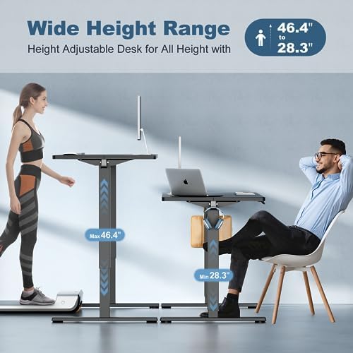 DUMOS 40 Inch Electric Standing Desk, Memory Adjustable Home Office Desk